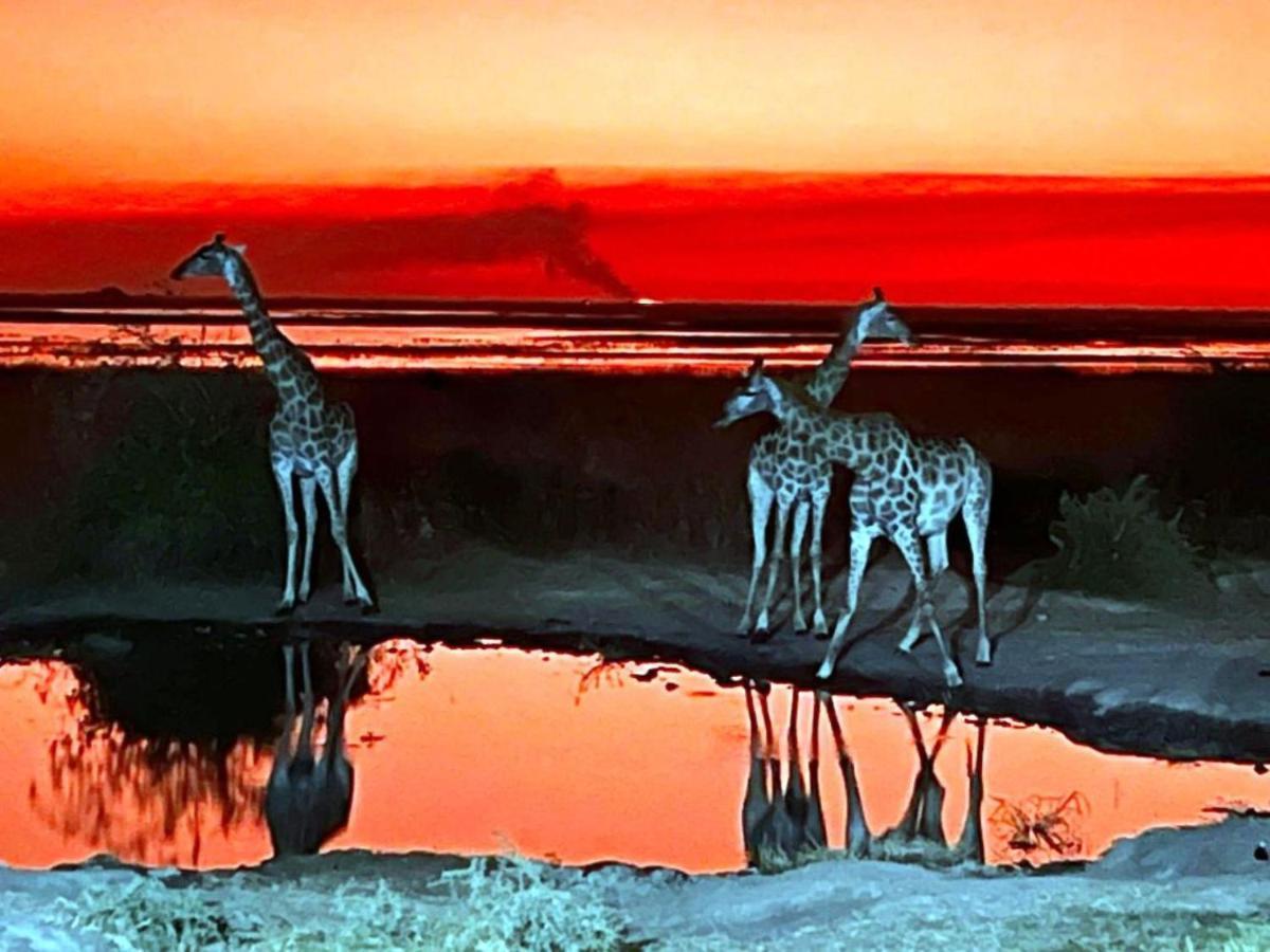 Mwandi View Hotel Kavimba Kültér fotó